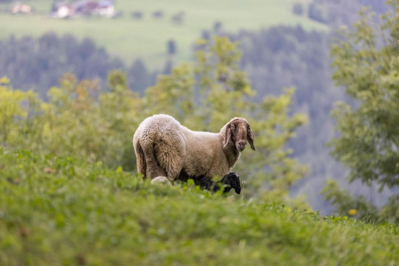 Oberplunerhof - Fewo Kronplatz Chienes Exteriör bild