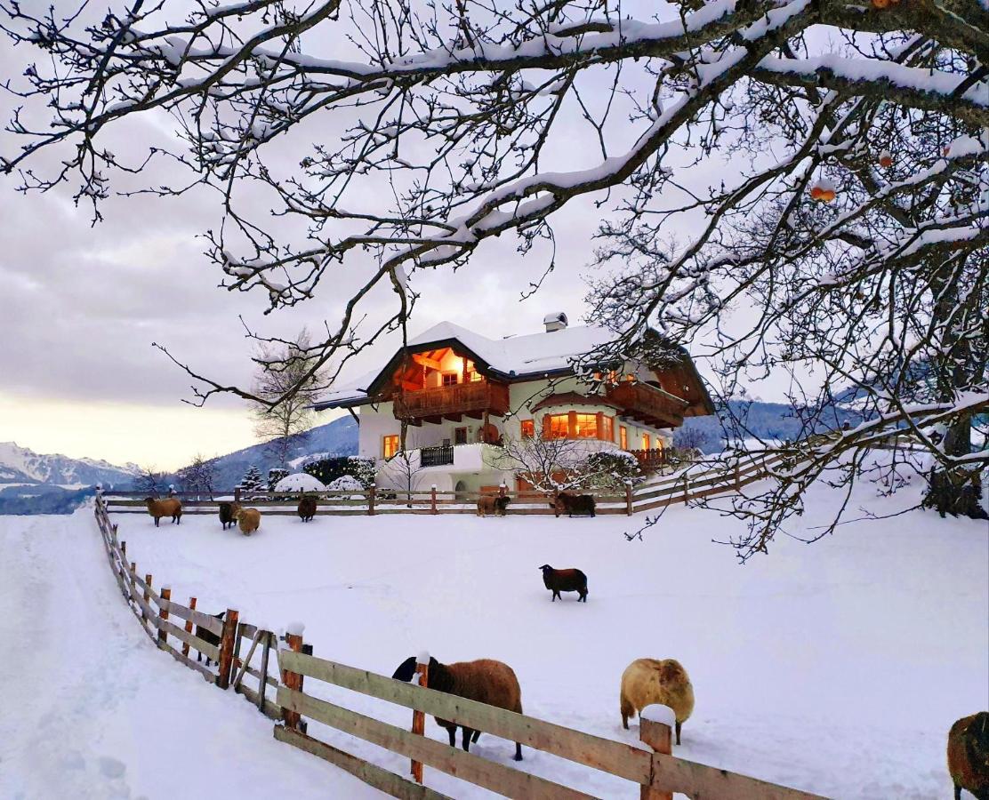 Oberplunerhof - Fewo Kronplatz Chienes Exteriör bild